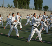 Павловская Тур. Комплекс Южное Графство семинар 2009